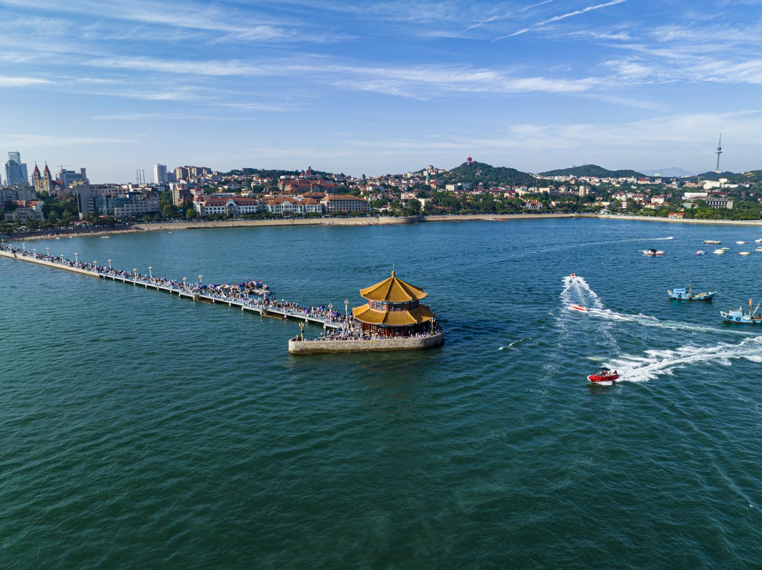 山东师生共聚一堂，共话教育新篇章